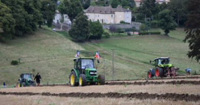 Image illustrant le contenu de l’article.
