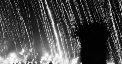 « La Forêt de flammes et d’ombres » d’Akira Mizubayashi : l’art, dernier rempart après Hiroshima