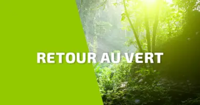 La Guadeloupe souffle après l'onde n°20 et passe au vert