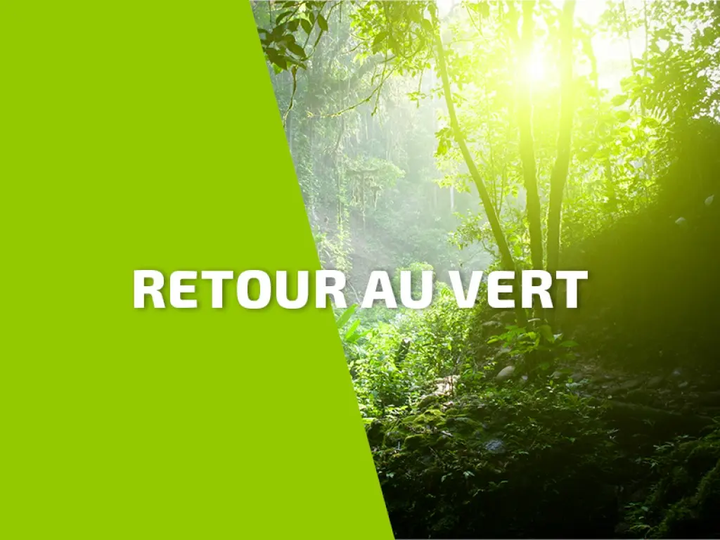 La Guadeloupe souffle après l'onde n°20 et passe au vert