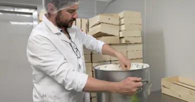 La Lozère gourmande : la rebarbe blanche de Hyelzas, une tradition qui se perpétue