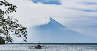 Martinique, Fort-de-France, beach, volcano, palm, rainforest, Creole, boat, island