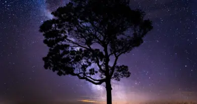 space, universe, astronomy, cosmos, galaxy, galaxies, NASA, extraterrestrial, alien