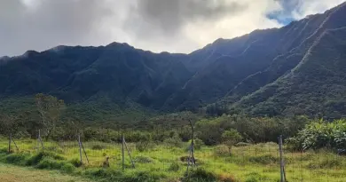 La Réunion : beaucoup de nuages, des averses et du soleil