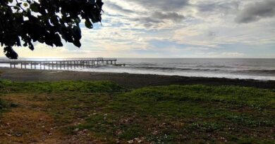 La Réunion : une matinée ensoleillée, un après-midi couvert excepté dans le Sud et l'Est