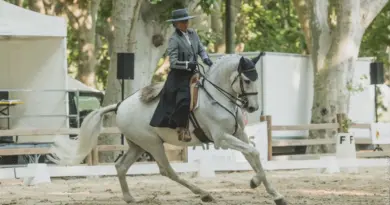 La Vendée accueille l'élite européenne de Working Equitation, 56 jeunes cavaliers en lice pour les titres continentaux