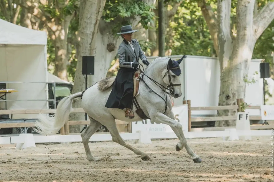 La Vendée accueille l'élite européenne de Working Equitation, 56 jeunes cavaliers en lice pour les titres continentaux