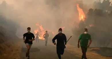 La canicule et les incendies ne laissent aucun répit à l'Europe du Sud