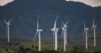 La consultation publique pour préparer l’avenir de l’éolien à La Réunion se poursuit avec une réunion ce 29 août