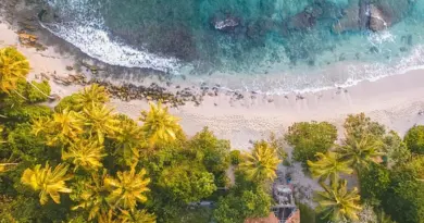Guadeloupe, Basse-Terre, Pointe-à-Pitre, volcano, beach, palm, waterfall, Creole, island