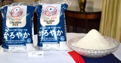 La forte hausse des importations privées de riz au Japon