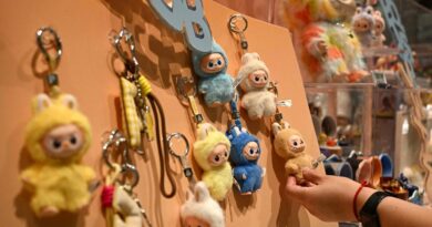 La gamme “mini” des poupées chinoises Labubu en rupture de stock en quelques heures