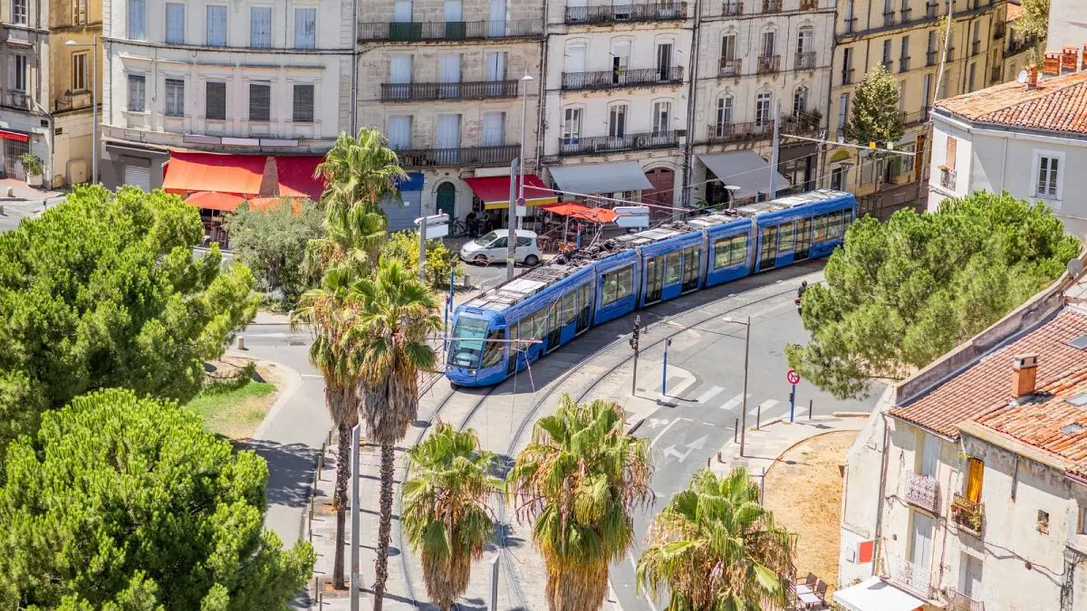 La gratuité des transports à Montpellier : la fréquentation en hausse