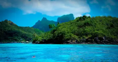 Polynésie française, Tahiti, Bora Bora, lagoon, beach, palm, coral, overwater, island