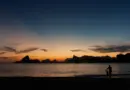 Mayotte, Mamoudzou, lagoon, beach, coral, mangrove, ylang-ylang, island, Creole, nature