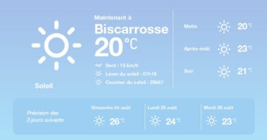 Image illustrant le contenu de l’article.