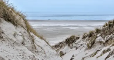 Nouvelle-Aquitaine, Bordeaux, Biarritz, dune, ocean, vineyard, forest, landscape