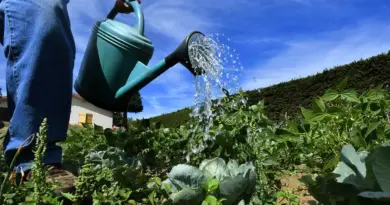 "La sécheresse s'aggrave", l'ensemble de la Haute-Savoie placé en état d'alerte renforcé