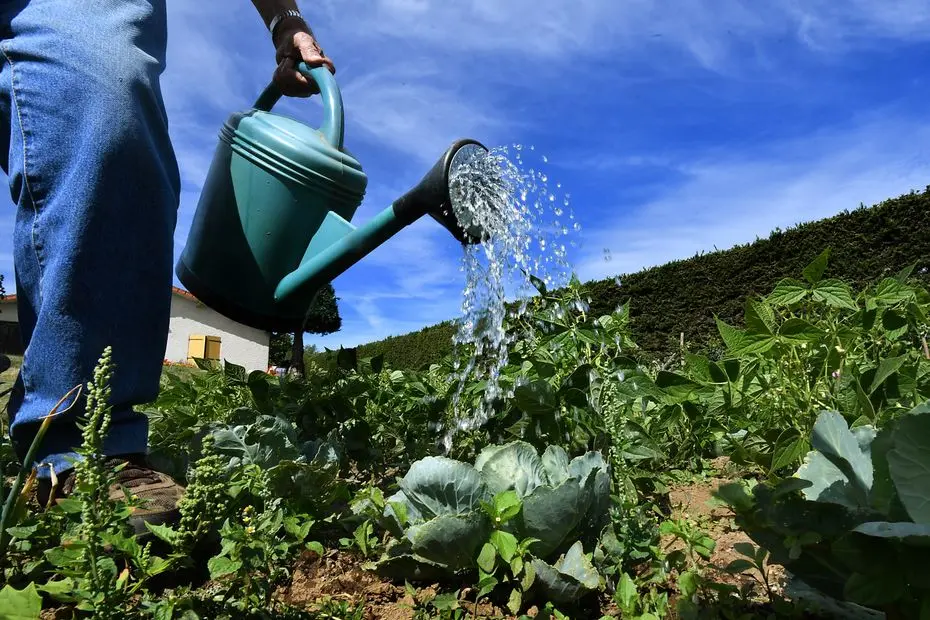 "La sécheresse s'aggrave", l'ensemble de la Haute-Savoie placé en état d'alerte renforcé