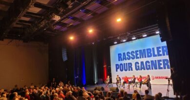 "La situation est merdique" : les "orphelins de la gauche" se mobilisent pour l'union en pleine crise politique