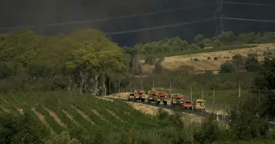 La vigne, un coupe-feu naturel qui s'estompe dans le sud de la France - RTBF Actus