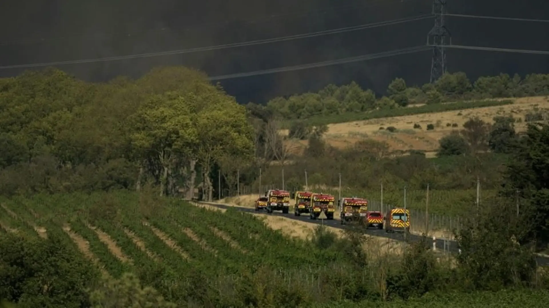 La vigne, un coupe-feu naturel qui s'estompe dans le sud de la France - RTBF Actus