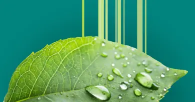 Lancement des Paysalia Innovation Awards 2025 | Unep