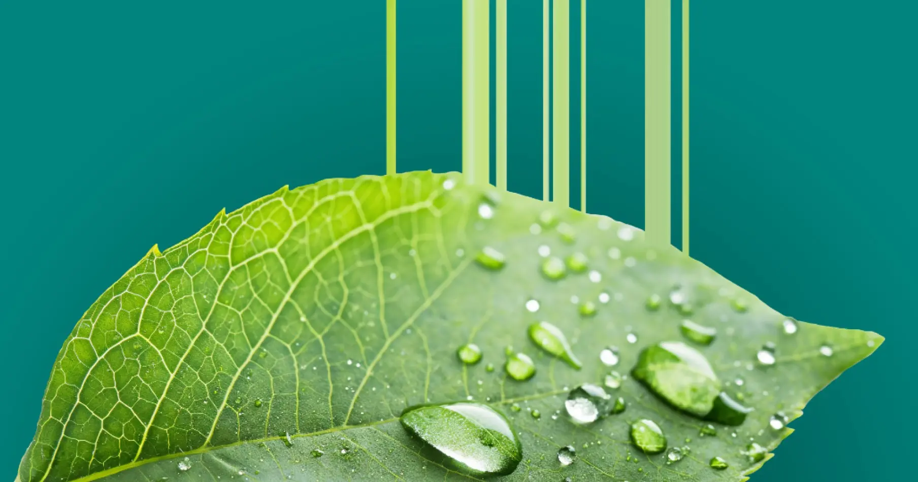 Lancement des Paysalia Innovation Awards 2025 | Unep