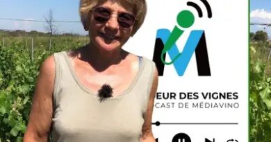 Languedoc I Domaine Campaucels, Le chant des oiseaux (extrait) cover