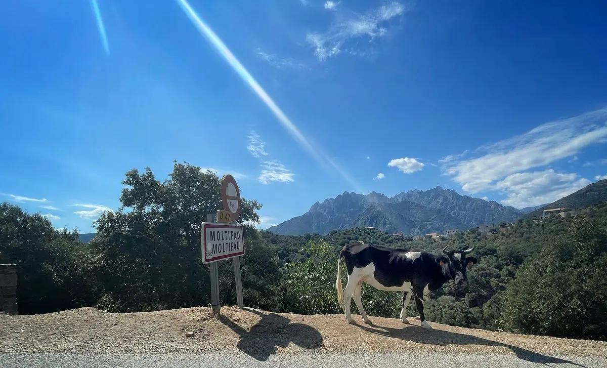L’année 2025 marque-t-elle le retour du conflit entre les Costa et les Mattei ? (2/2)