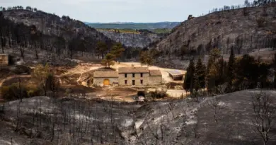 Las Corbièras cremadas