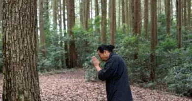 L’autre Japon : « Ici, nous sommes entourés de vie », ils ont troqué la ville pour une nature aux secrets insoupçonnables