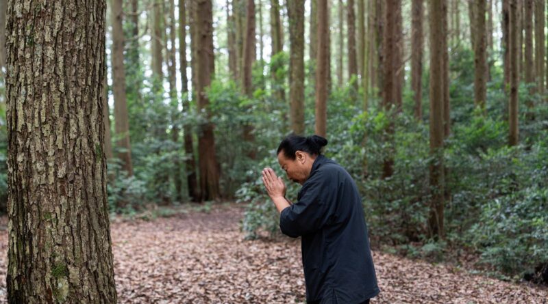 L’autre Japon : « Ici, nous sommes entourés de vie », ils ont troqué la ville pour une nature aux secrets insoupçonnables