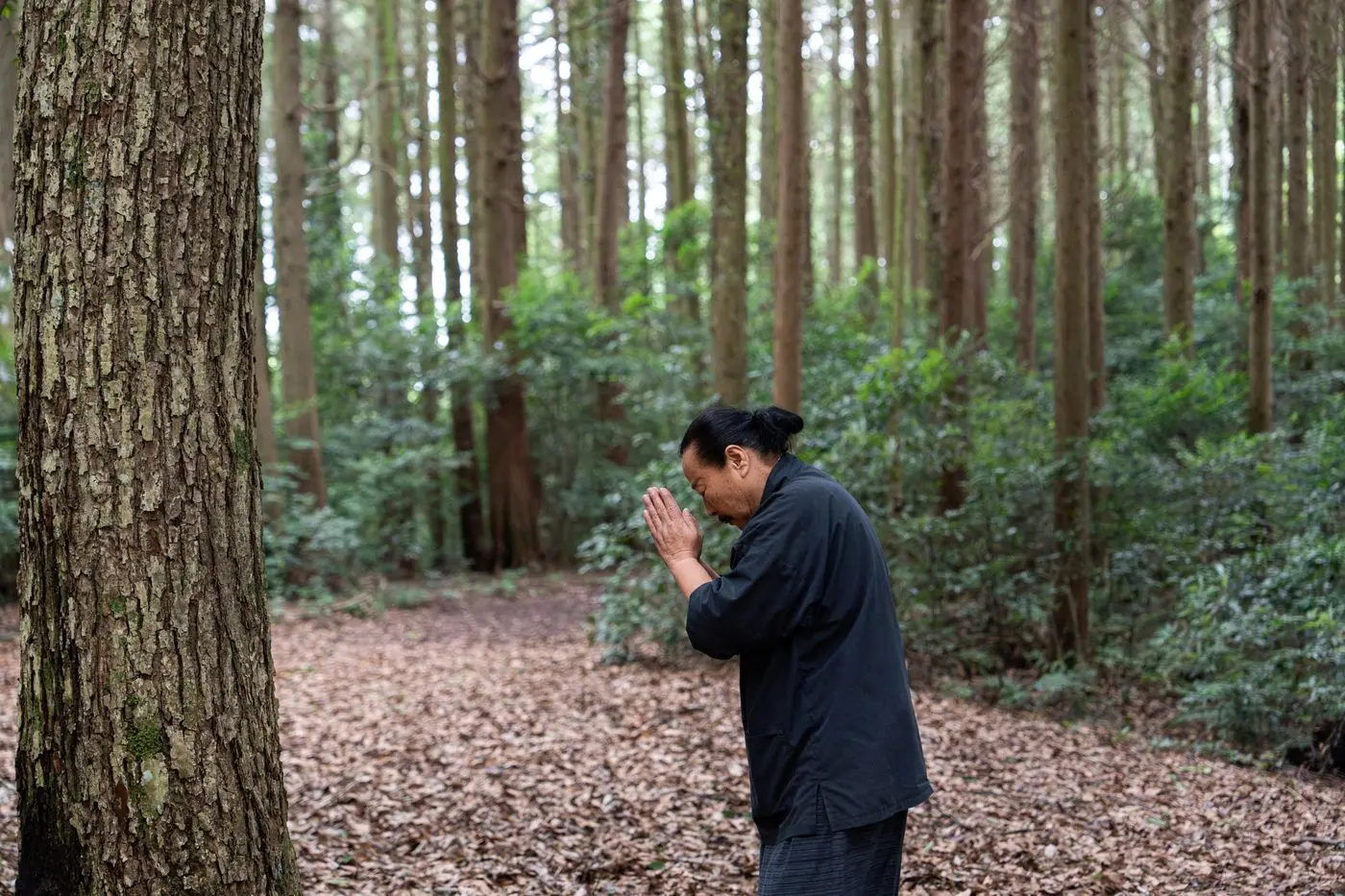L’autre Japon : « Ici, nous sommes entourés de vie », ils ont troqué la ville pour une nature aux secrets insoupçonnables