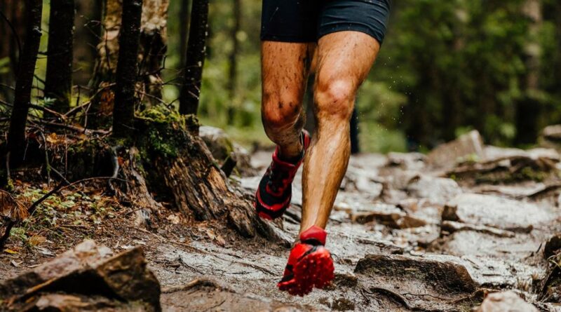 Le Martinique Trail Tour 2025 espère capitaliser sur l'engouement pour la discipline