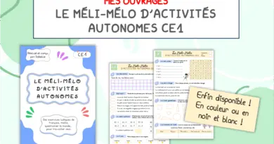 Le Méli-Mélo d'activités autonomes CE1 - La trousse de Sobelle