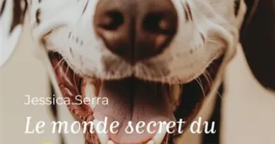 Le Monde secret du chien