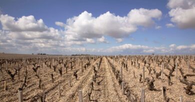 Le bilan climatique de l’été 2025