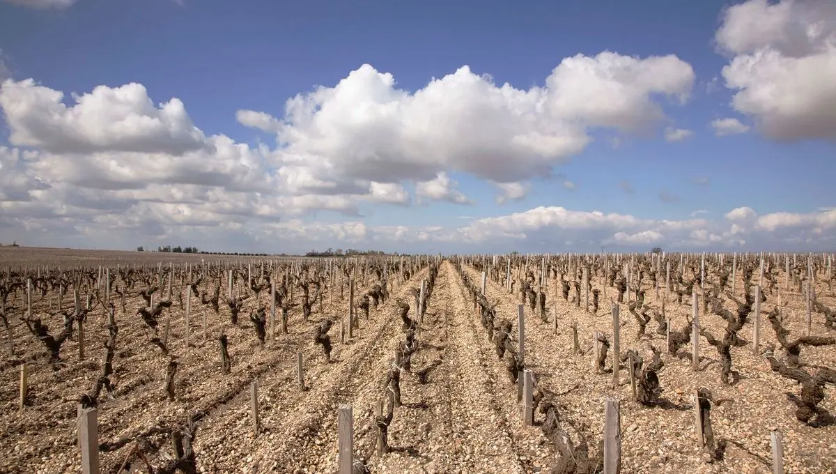 Le bilan climatique de l’été 2025