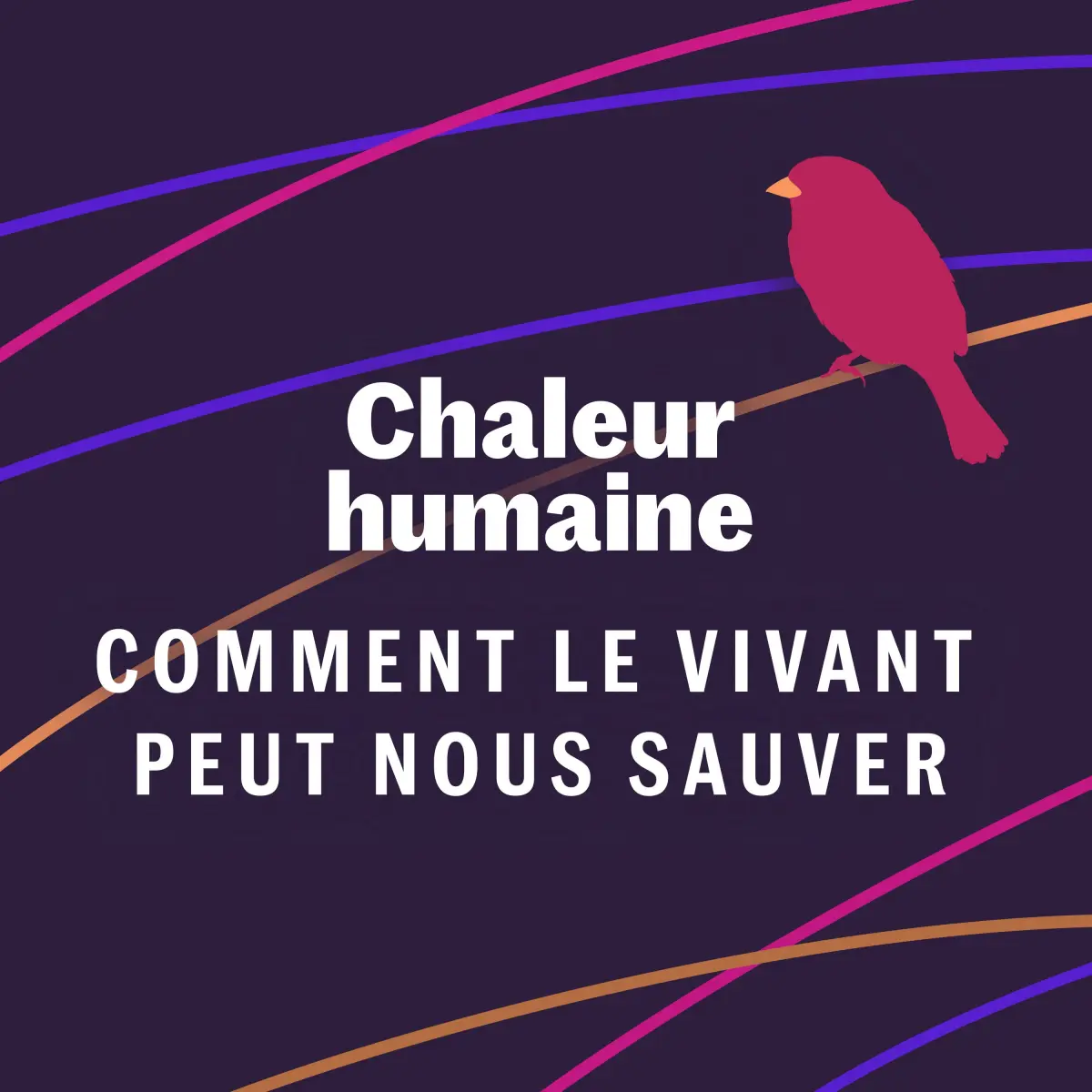 Le chimpanzé - Comment le vivant peut nous sauver (4/6)