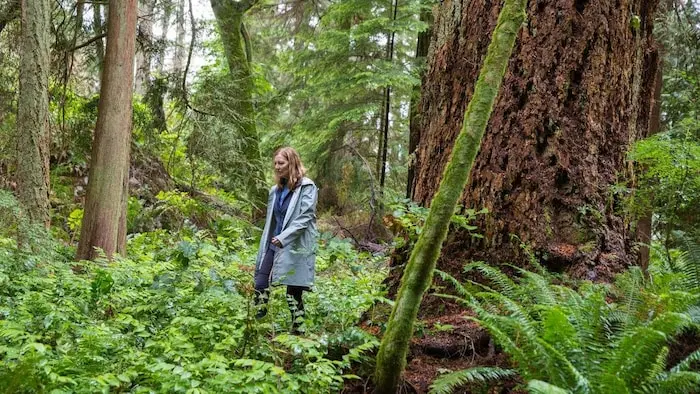 Une femme marche dans une forêt d'arbres géants.
