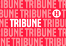 Image illustrant le contenu de l’article.
