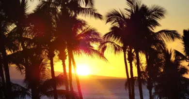 Guadeloupe, Basse-Terre, Pointe-à-Pitre, volcano, beach, palm, waterfall, Creole, island