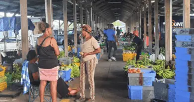 Le marché de gros de Dillon en cours de modernisation à Fort-de-France