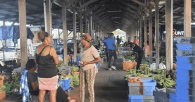 Le marché de gros de Dillon se modernise, 65 000 euros ont été investis