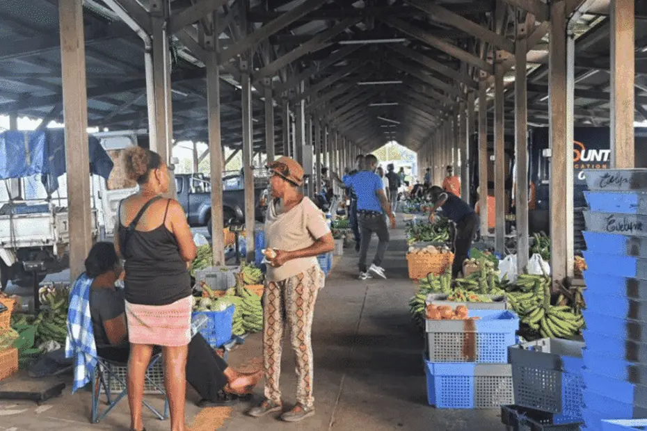 Le marché de gros de Dillon se modernise, 65 000 euros ont été investis