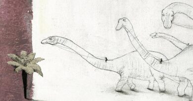 Le mokélé-mbembé, esprit du Congo transmuté en dinosaure