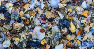 Nouvelle-Calédonie, Nouméa, lagoon, reef, beach, island, Kanak, nature, landscape, coral