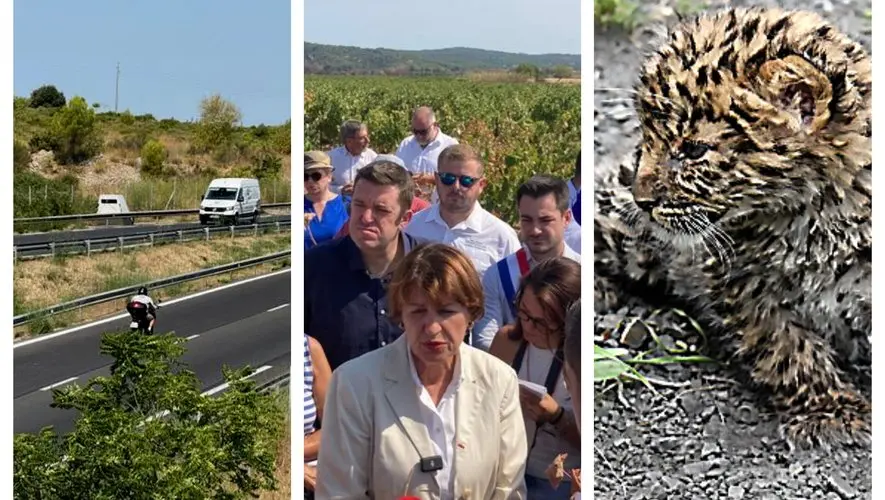 Le radar "pompe à fric", un fonds d’urgence après le mégafeu de l’Aude, une nouvelle panthère de l’Amour… l’essentiel de l’actu en région