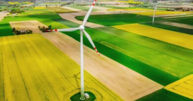 Le renouvelable est sur le point de dépasser le charbon pour devenir la principale source d'électricité dans le monde